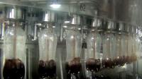 Línea fría aséptica aireada del embotellado del animal doméstico del jugo 15000 BPH