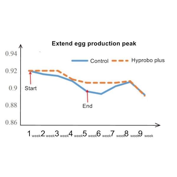 ISO 14.1 Billion Cfu/G Probiotics For Animal Zeolite Powder Carrier