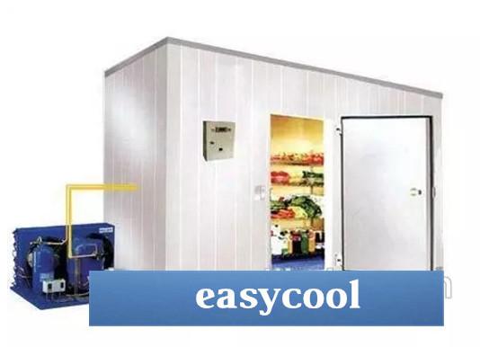 Customized Size And Materials Insulated Panel Ice Storage Cold Room For Food Or Industrial Storage