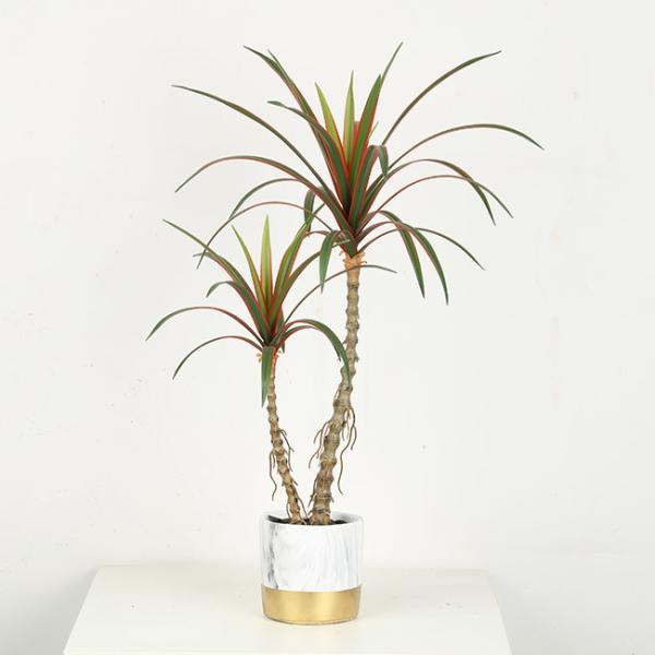 Red Side Dracaena Artificial Bonsai Tree For Indoor Decoration 38 CM 50 CM 68 CM