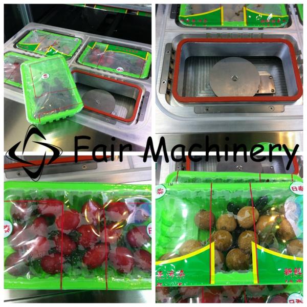 60VAC 4BPM Industrial Vacuum Sealing Machine Boxed Fresh Meat Food Sealer SUS304
