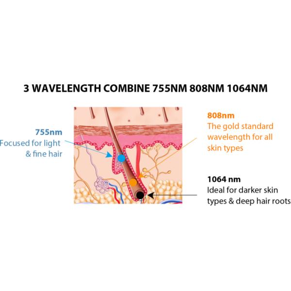 Машина удаления волос лазера диода Painess 3 пар волокна длины волны для салона красоты