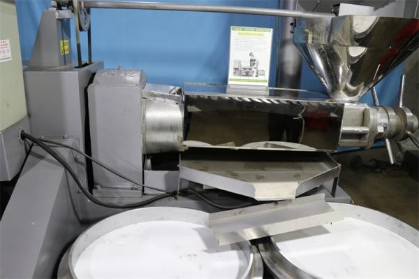 Alloy Steel Nut Oil Press Machines , Cold Press Oil Expeller Machine Simple Operation