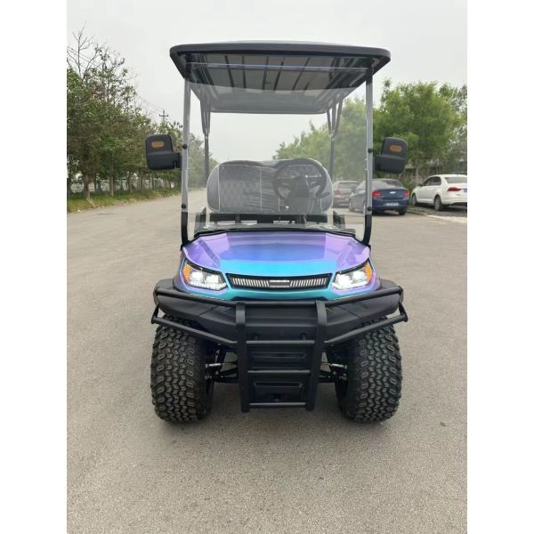 Customizable 4-Seater Electric Utility Golf Cart Lithium Battery Golf Buggy for Sale