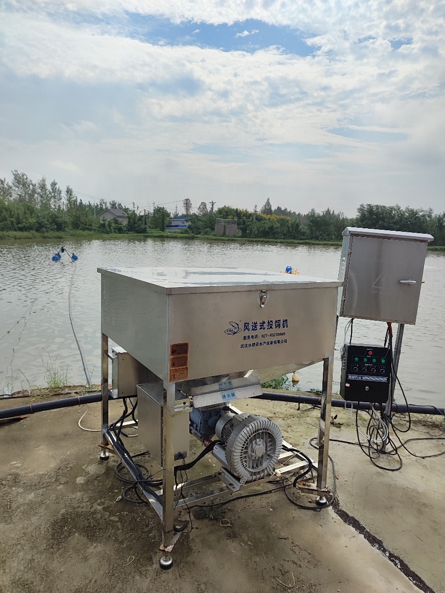 Automatic Timer Motorized Fish Feeder Feed Loading Machine 45 Packs Per Hour System