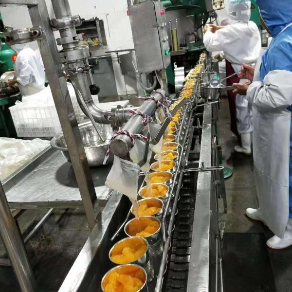 3000g A10 Canned Mandarin Oranges For Catering