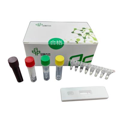 Feline Herpesvirus Isothermal Detection NFO Animal Disease Kit
