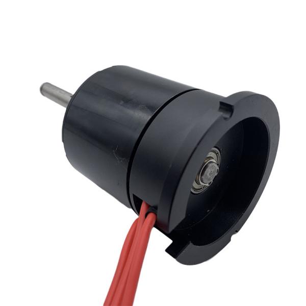 Faradyi Professional Customized 12v 24v Sensorless Ip68 Waterproof Electric Brushless Dc Motor For Jetski Surfboard