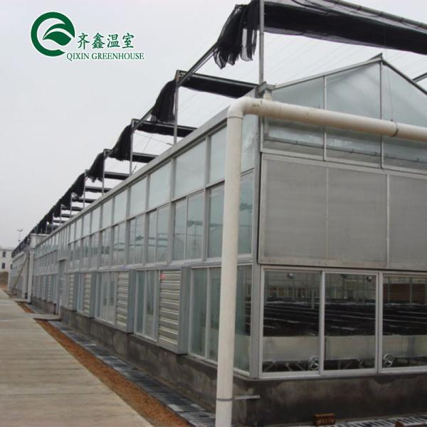 Polycarbonate Sheet Covering Transparent Solar Panels for Greenhouses in High Demand