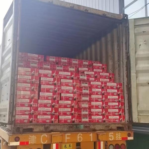 Магнитный флейтированный, канавчатый, раковина, бетонные гвозди, стальной материал, закаленный