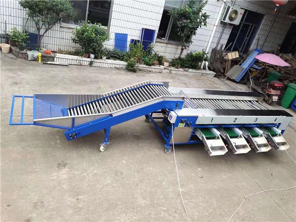 potato grading machine,potato sorting machine,potato sorter