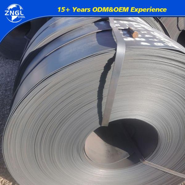 Cutting Processing Service H T Steel Strips for Wood Band Saw Blades and Machine Blades