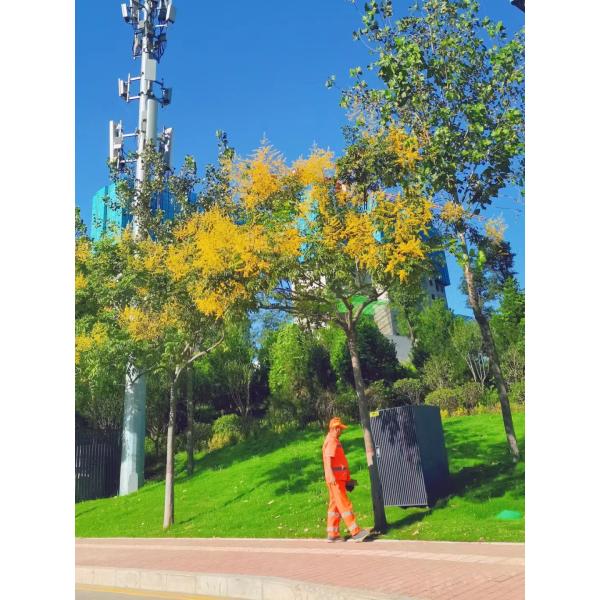 698mhz-2700mhz 3G Repeater Antenna Vertical Polarization 3g Booster Antenna