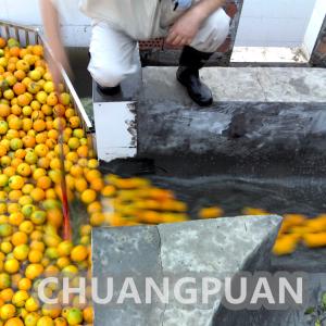 Stainless Steel Orange Juice Production Line 50Hz Orange Juice Extraction