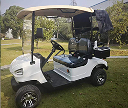1-2 Seats DOT Electric Golf Carts with DOT Certification and Front LED Headlight