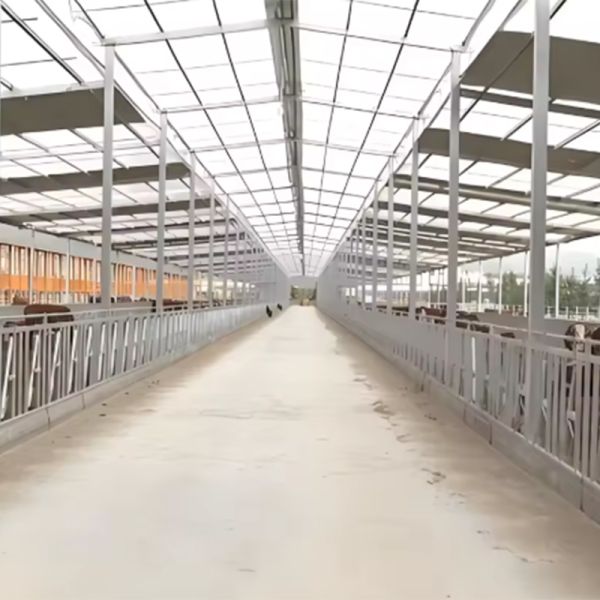Custom Prefabricated Metal Poultry House Steel Structure Chicken Horse Farm Building
