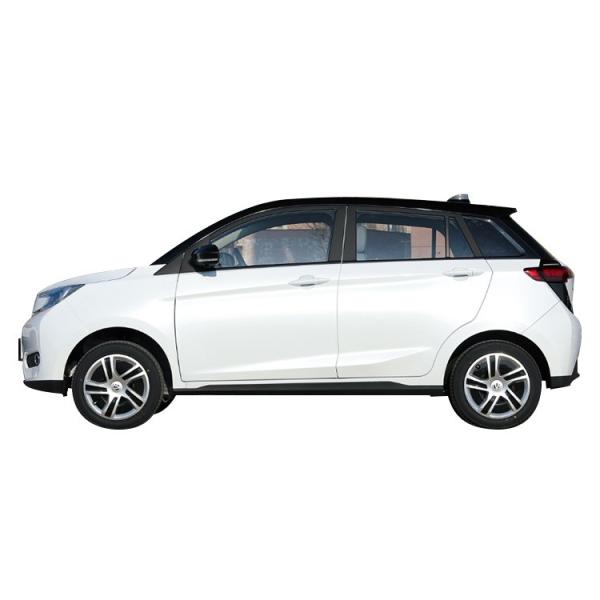 EVH Car Energy Vehicle EV HOUSE YOUNG LIGHT XIAOXIN Pure Electric Big Sale WHEELBASE 2415