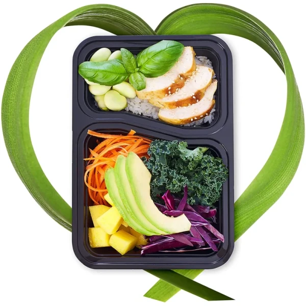 2 Compartment BPA Free Lunch Boxes Rectangular Meal Prep Containers for Food Storage