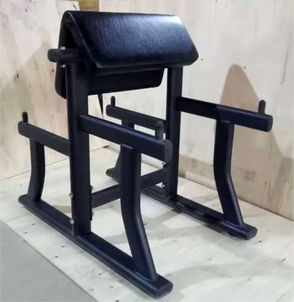 Wholesale Hot Sale High Quality Arm Curl Bench Gym Equipment Biceps Curl