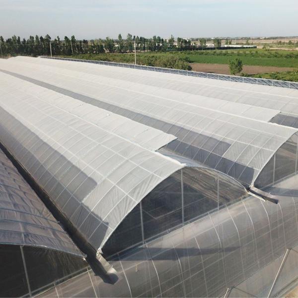 Sistema de aquecimento de água Modalidade coreana Estufas agrícolas para a agricultura durante todo o ano