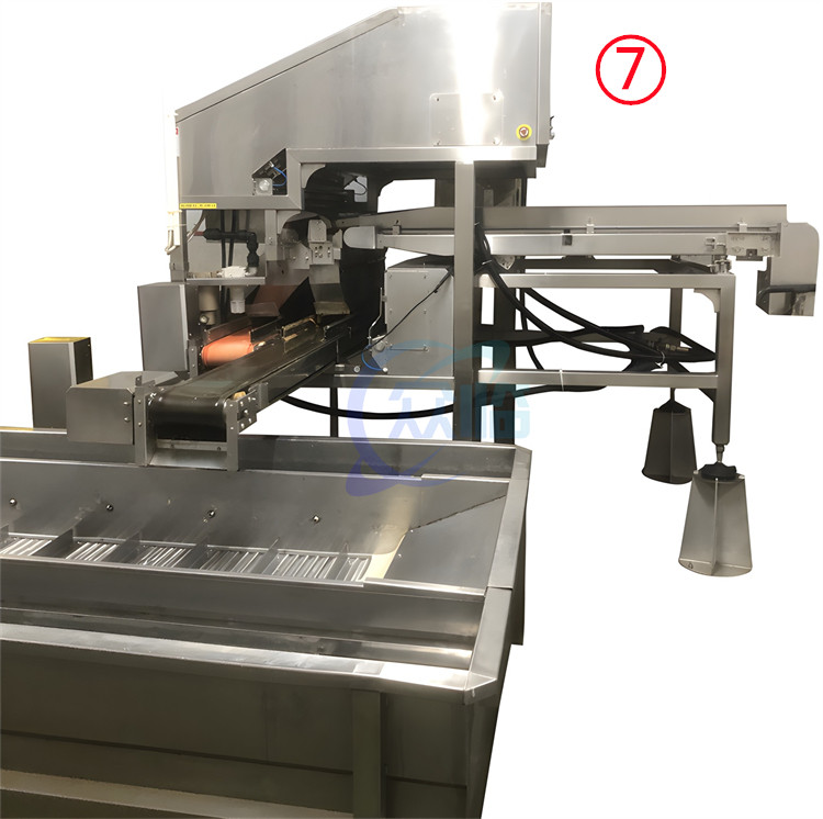 1000KG/H-1500KG/H Shrimp Separator Machine 380V 3P 50HZ Seafood Processing Line