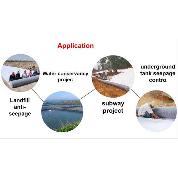 0.75mm 1.0mm HDPE Geomembrane Pond Liner for Biofloc Tank Customizable and Waterproof