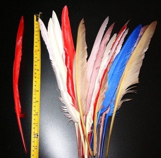 Valentine's Day Millinery Supplies Turkey Feather Quill for Worldwide Shipping