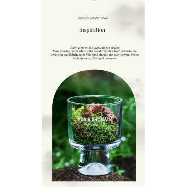 100ml Nature-Inspired Moss Diffuser Creative Scented Oil Diffuser for Keeping Air Fresh