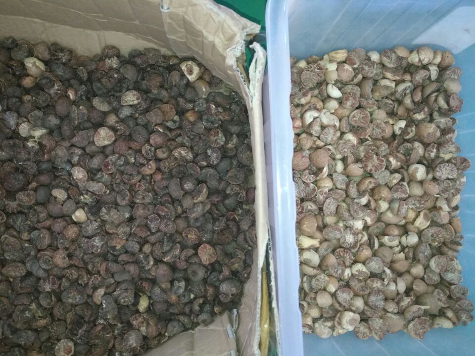 2023 Новый дизайн CCD Nuts Color Sorter Машина для разделения цвета грецкого ореха кешью кокосового ореха