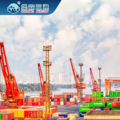 EXW Sea Freight Forwarder , Global Freight International FCL LCL To Middle East