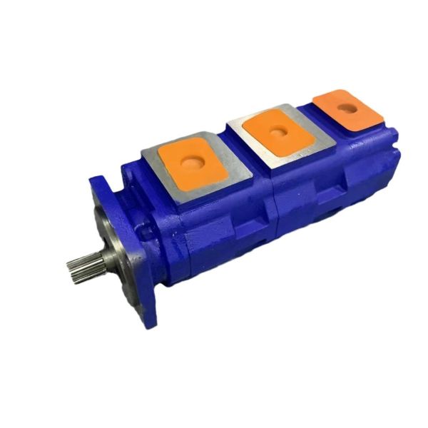 Gear oil pump Gear pumpPT4800-F100DK28997 PT4800-F100DK58997 P5100C567ADIP25-01 P5100C567ADQU10-01 P5100C567ADRN15-01 P5100C567ADTW12-01 factory