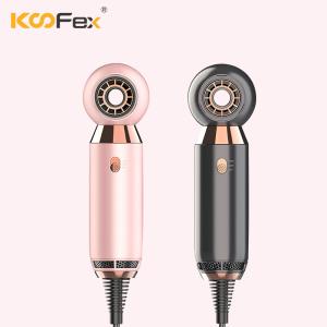 Salão de beleza de secagem rápido Leafless Mini Travel Portable do secador de