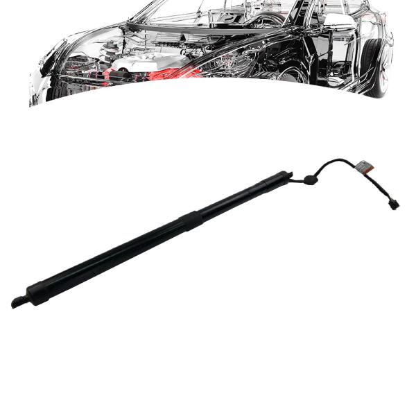 Womala Tailgate Power Lift Motor 31690929 for S60 V60 XC60 Models 2015 2023