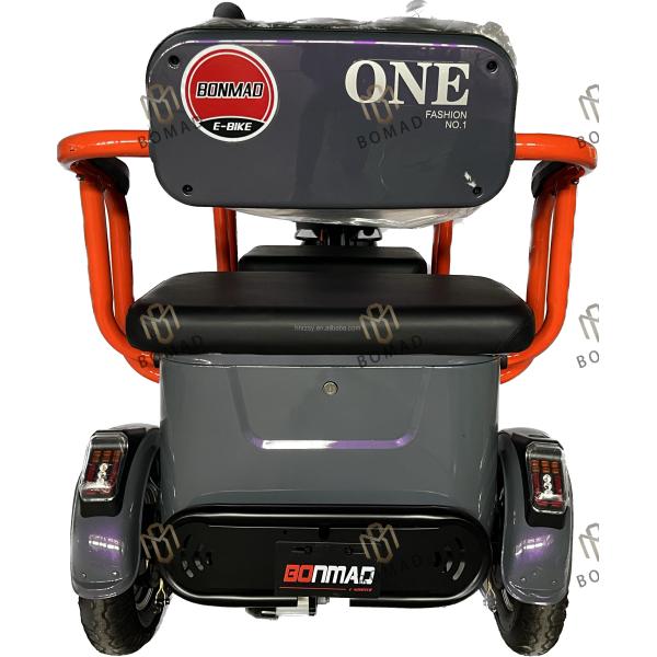 2024 Electric Tricycle Motorcycle Bike Three Wheel 3 Wheel with Range per Power 60 km Voltage 48V
