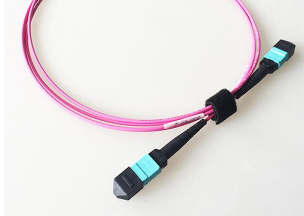 50um MPO MTP Optical Fiber Cable 40G OM4 Multimode Violet Color