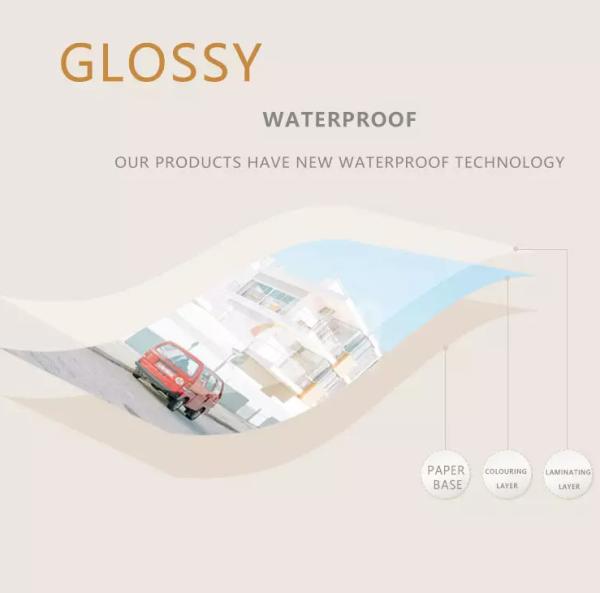 Golden Mark 12 inch 305mm 50m 240g Waterproof RC Glossy Roll Inkjet Photo Paper for Fuji DL600 DL650 Noritsu D1005 Dryla