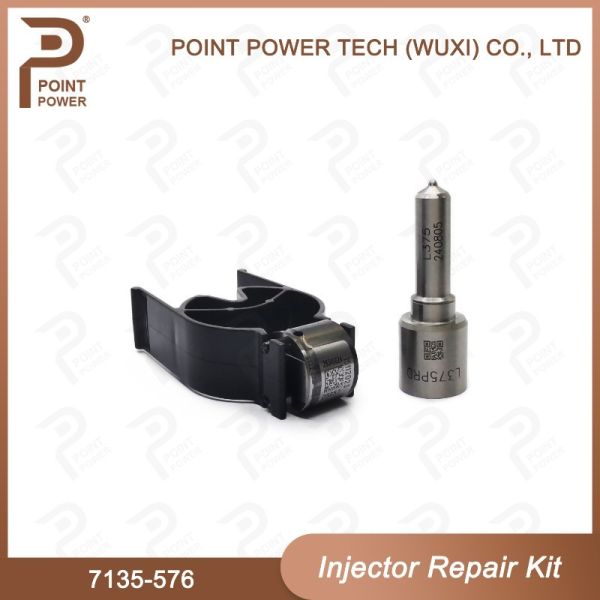 7135-576 Delphi Injector Repair Kit For Injector 28236381 Nozzle Valve Kit