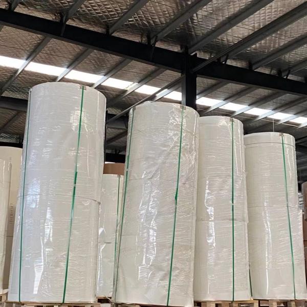 O polietileno 12gsm branco revestiu a especificação de matéria prima 300G do copo de papel