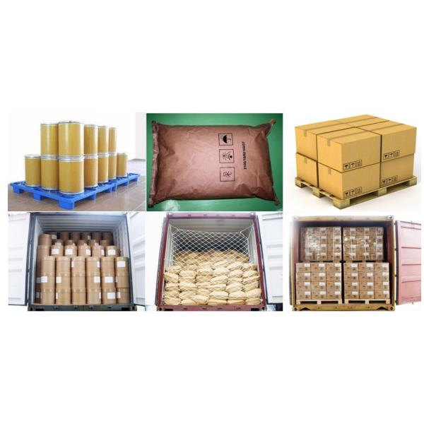 OEM Food Enzyme Powder Fungal α-Amylase For Baking Bread Cas 9013-01-8