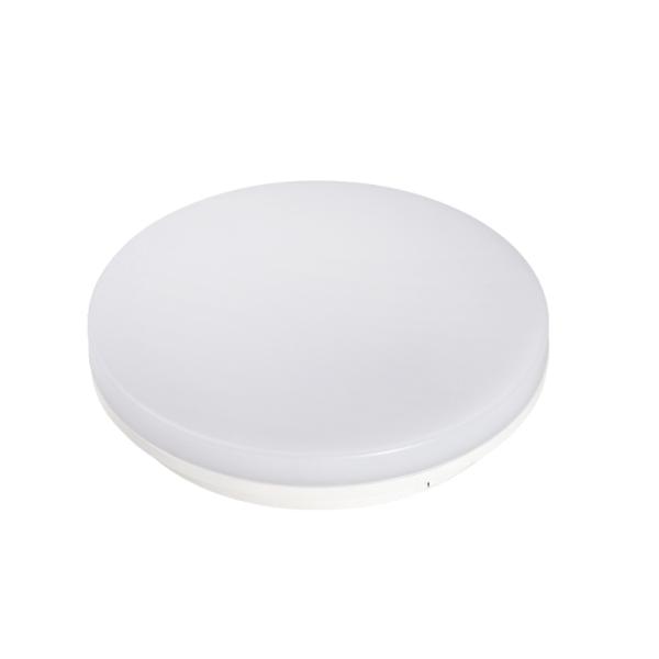 Surface Mounted LED Ceiling Lamps Dimmable and Modern Design for Living Room Kitchen