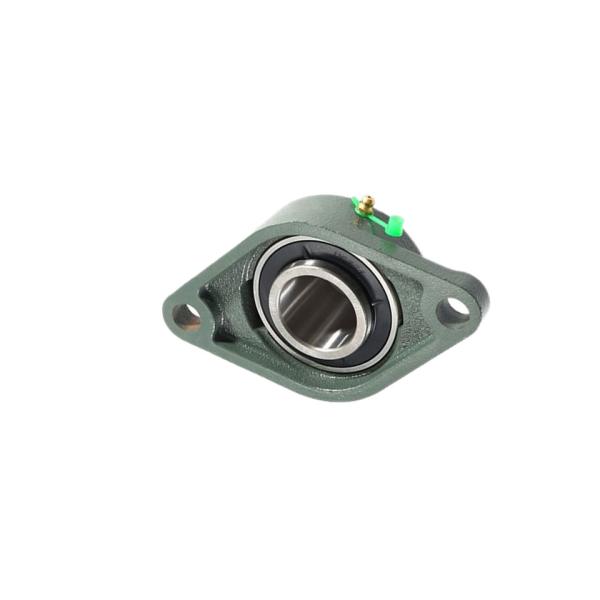 Agricultural Cast Iron Flange Units Chrome Flange Type Bearing Block UCFL206 High Quality