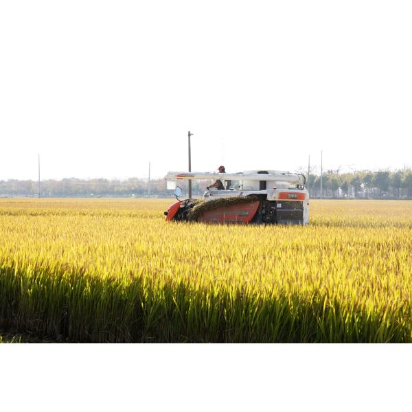 PH Value 4 - 6 Free Amino Acid 80 Powder 100% Water Soluble Light Brown