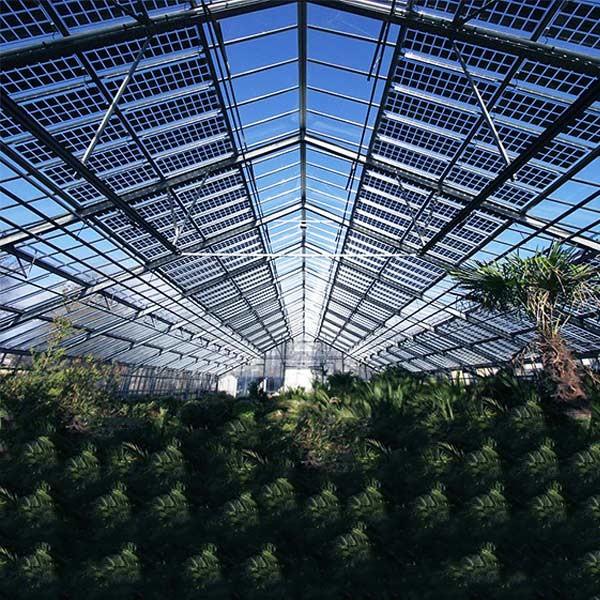 Roof Greenhouse Solar System Photovoltaic Structure Q235 Q345 1.4KN/M2 Max Snow Load