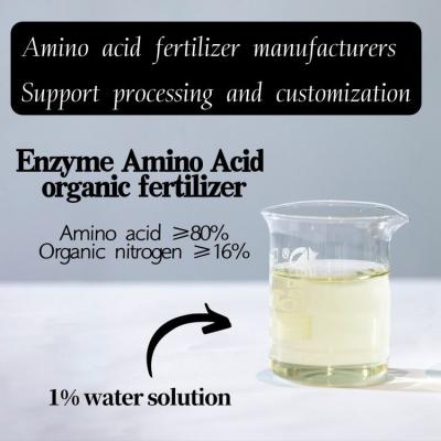 Adubos orgânicos OMRI List Plant Growth Enhancer da colheita do ácido aminado 80% da enzima