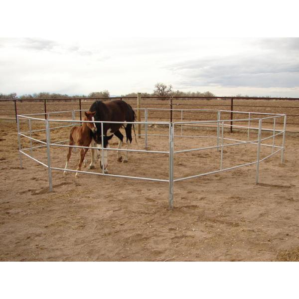 Horse and Sheep Yard Panels for Sale 1.8m x 2.1m 6 Horizontal Rails Oval tube 115x42mm