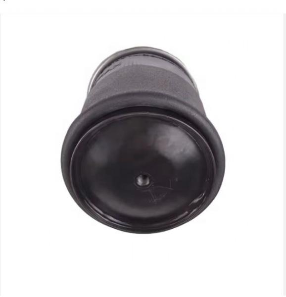 Original China Shacman Peças sobressalentes Air Spring Assy DZ95259440308 Acessório de caminhão com bom preço