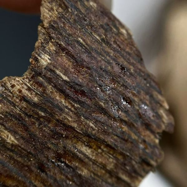Pure OUD Agarwood raw material ideal for essential oil extraction and exclusive scent creation in perfumery industry