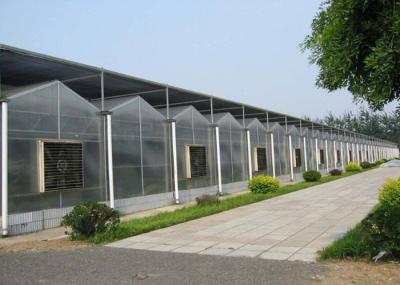 Garden Flowers PC Sheet Greenhouse , Farm Vegetables Flowers Multi Span Greenhouse