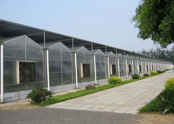 Garden Flowers PC Sheet Greenhouse , Farm Vegetables Flowers Multi Span Greenhouse