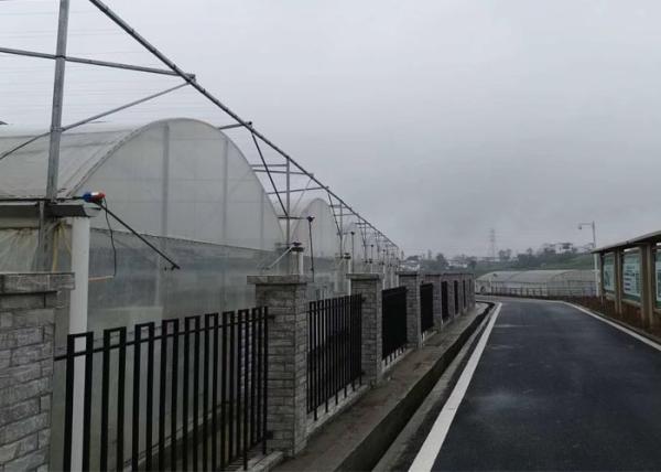 Simple Structure Plastic Film Greenhouse For Vegetables / Fruits Growing